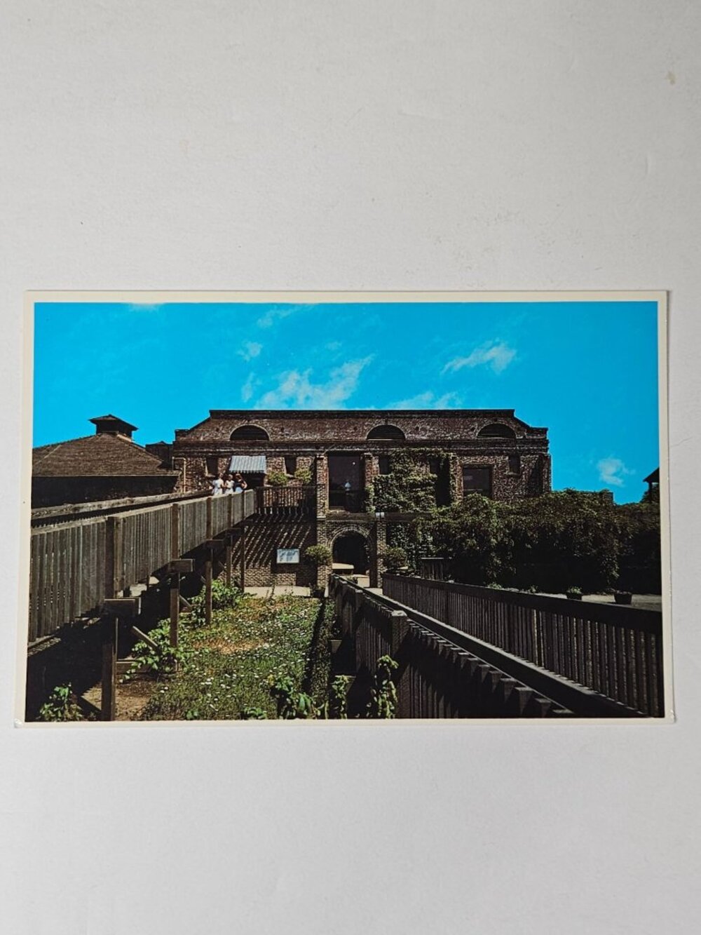 Yountville California Shopping Complex Postcard
